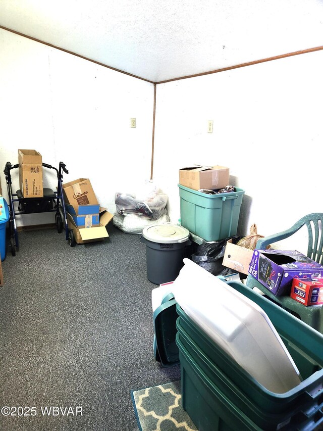 121 Fountain St, Jersey Shore, PA 17740 - view of storage