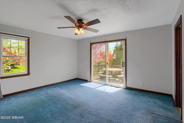 6553 Jacks Hollow Rd, Williamsport, PA 17702 - carpeted spare room with a ceiling fan, baseboards, and a healthy amount of sunlight