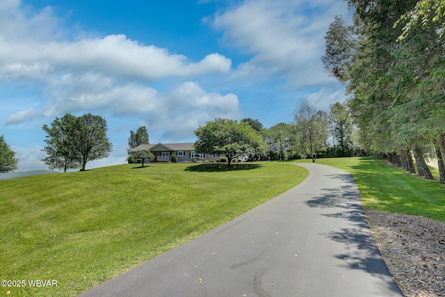 714 Millertown Rd, Bloomsburg, PA 17815 - photo 55