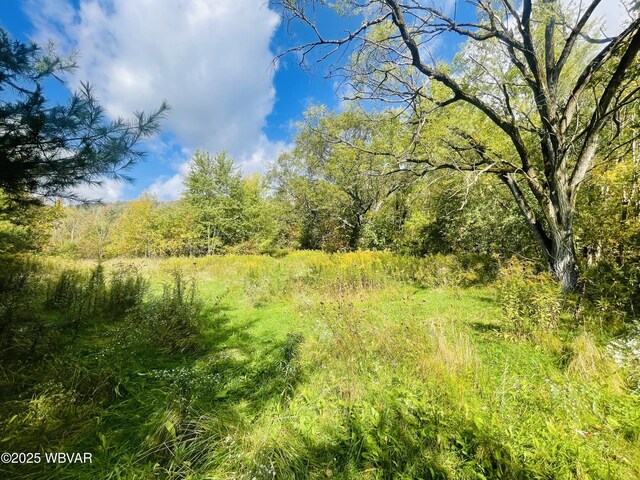 500 Woodward St, Linden, PA 17744 - photo 4