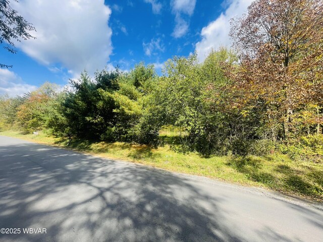 500 Woodward St, Linden, PA 17744 - photo 3