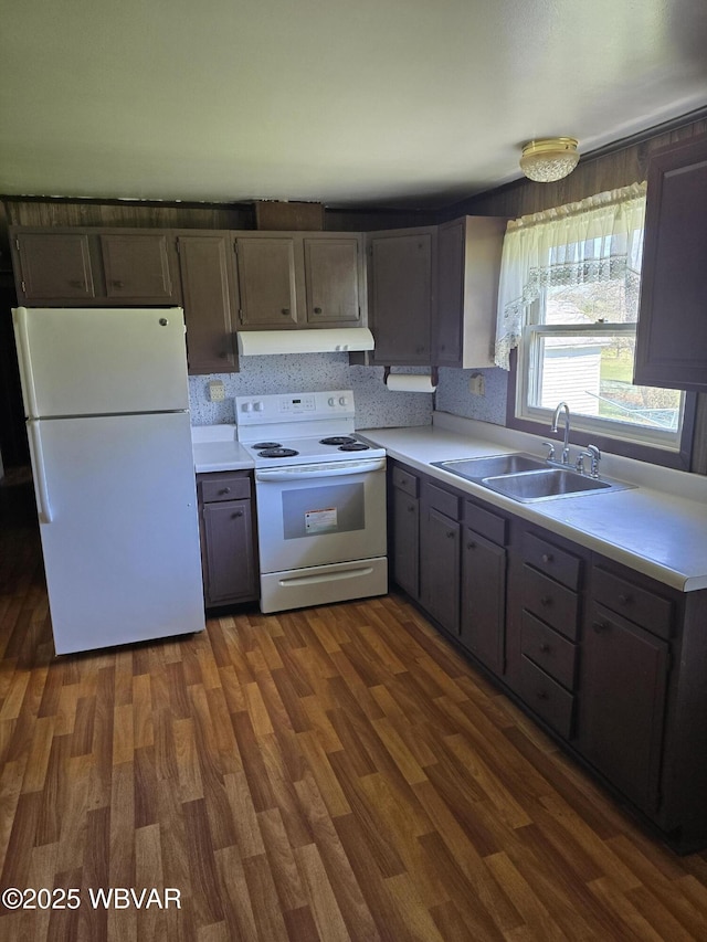 kitchen with under cabinet range hood, light countertops, white appliances, and a sink