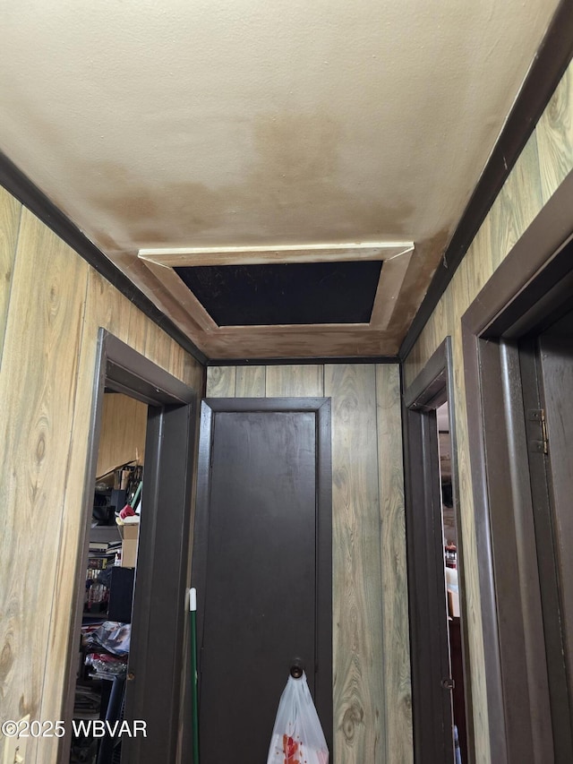 interior space featuring wooden walls