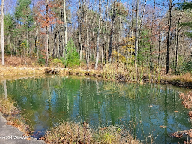 view of water feature