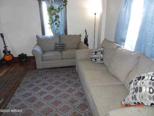 living room featuring wood-type flooring