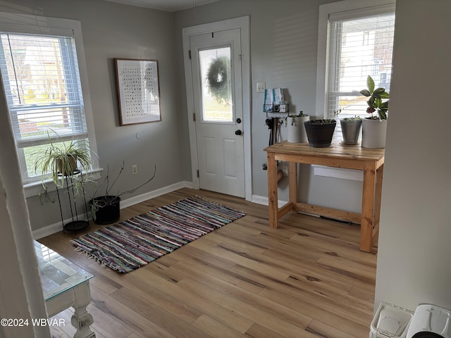 entryway featuring light hardwood / wood-style floors and a wealth of natural light