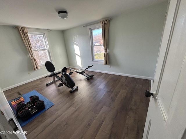 exercise area featuring dark wood-type flooring