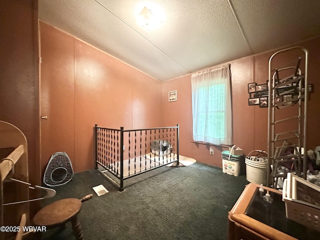207 Bald Eagle Forest Rd, Blanchard, PA 16826 - bedroom with carpet floors, a textured ceiling, and a nursery area