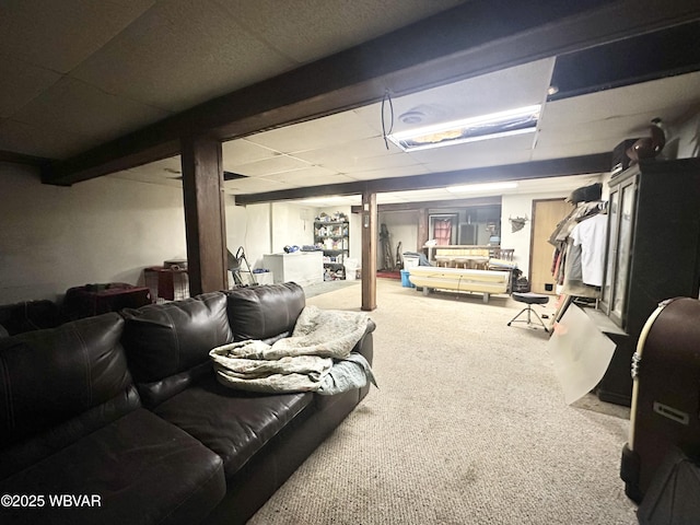 207 Bald Eagle Forest Rd, Blanchard, PA 16826 - finished below grade area with carpet floors
