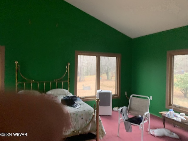 bedroom featuring carpet floors and vaulted ceiling