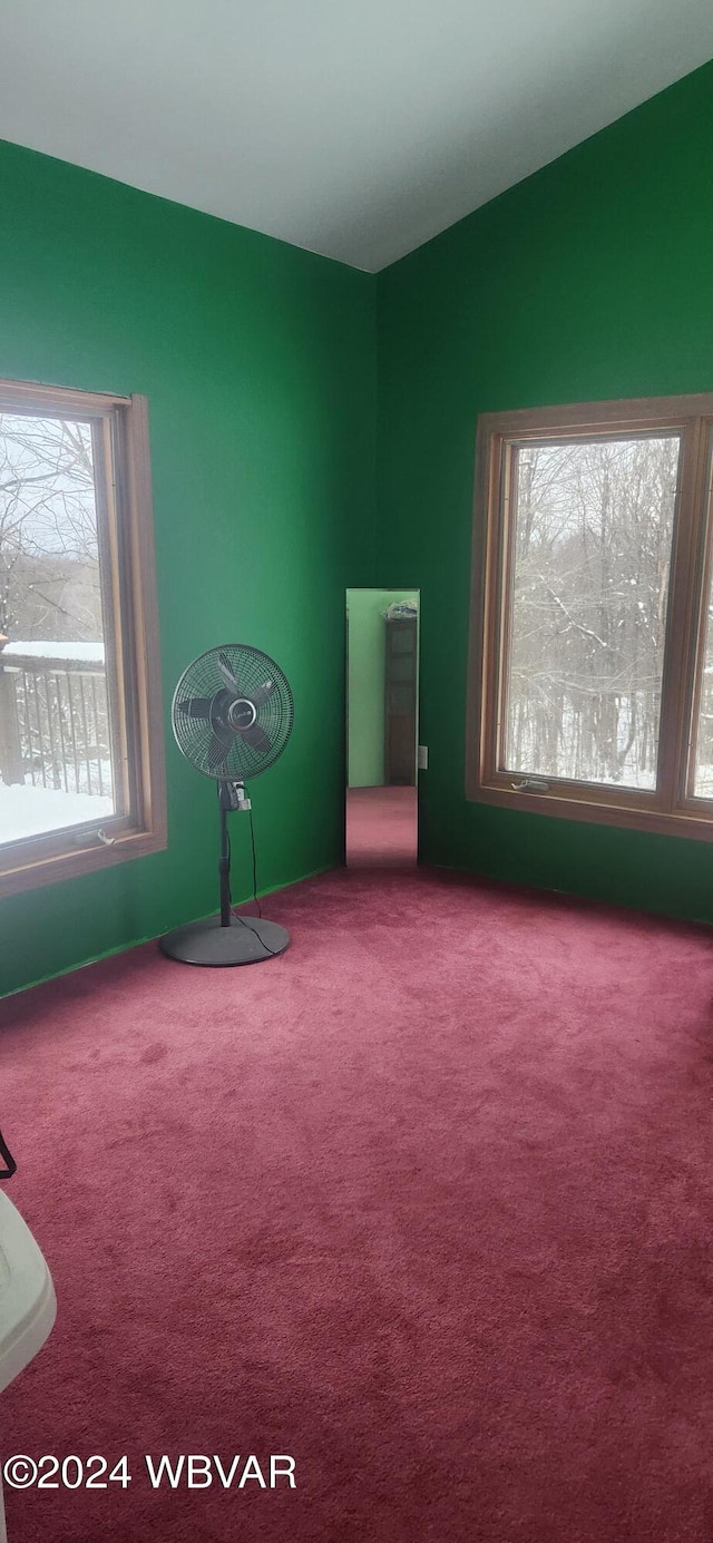 miscellaneous room featuring carpet and plenty of natural light