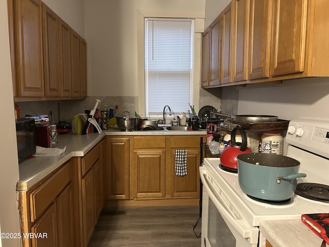 kitchen featuring sink, dark hardwood / wood-style floors, and white range with electric stovetop