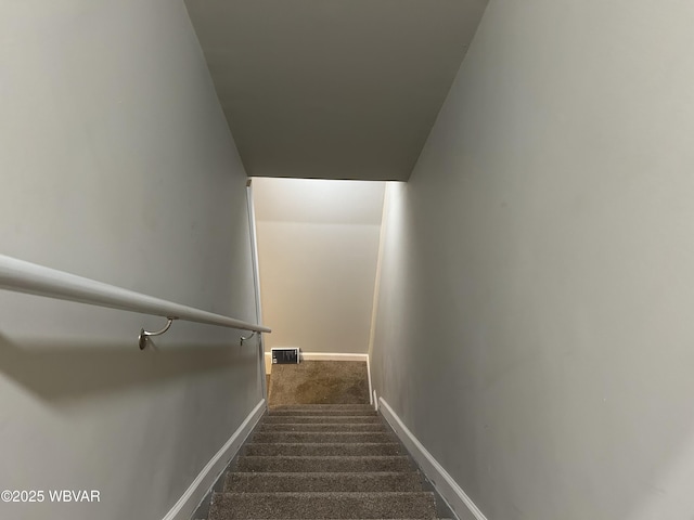 stairway featuring carpet floors