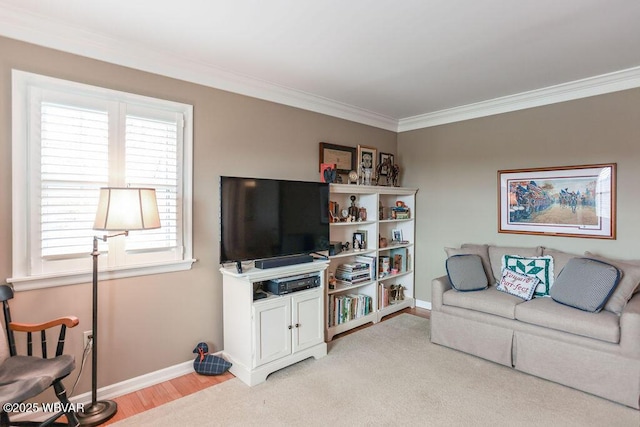 2528 N Hills Dr, Williamsport, PA 17701 - living room featuring crown molding and baseboards
