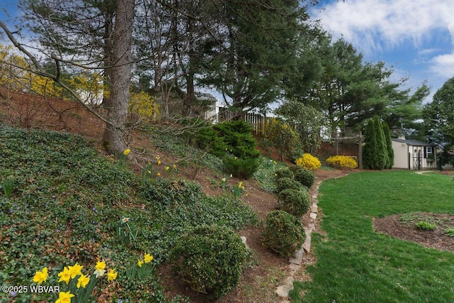 2528 N Hills Dr, Williamsport, PA 17701 - view of yard featuring an outbuilding