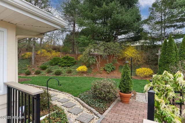 2528 N Hills Dr, Williamsport, PA 17701 - view of yard
