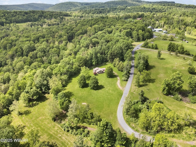 269 Sky Meadow Rd, Muncy Valley, PA 17758 - photo 28