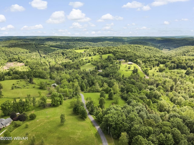 269 Sky Meadow Rd, Muncy Valley, PA 17758 - photo 30