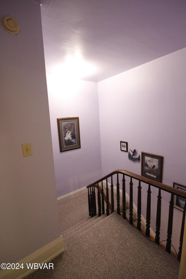 stairway featuring carpet