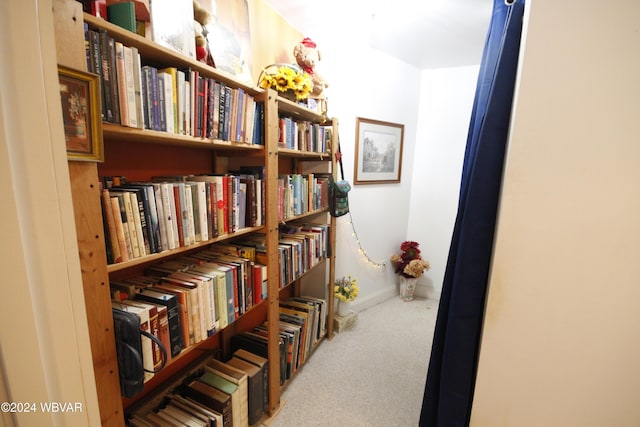 corridor featuring carpet flooring