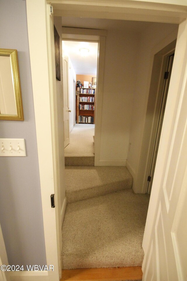 stairs with carpet flooring