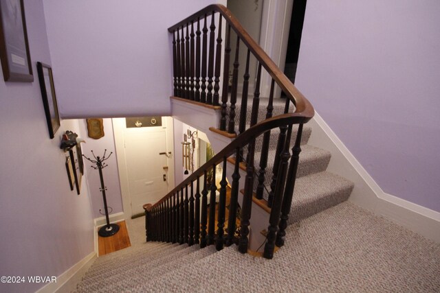 stairway featuring carpet