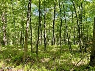 10296 Renovo Rd, North Bend, PA 17760 - view of undeveloped land