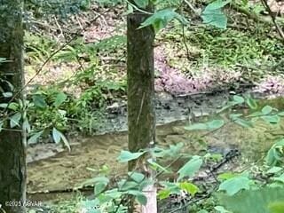 10296 Renovo Rd, North Bend, PA 17760 - view of local wilderness