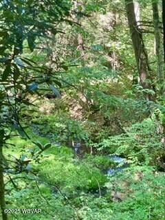 10296 Renovo Rd, North Bend, PA 17760 - view of nature