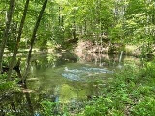 10296 Renovo Rd, North Bend, PA 17760 - view of nature