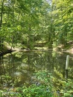10296 Renovo Rd, North Bend, PA 17760 - view of tree filled area