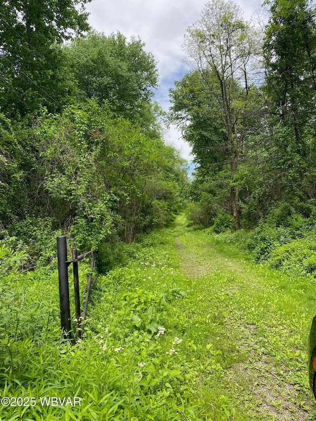 10296 Renovo Rd, North Bend, PA 17760 - view of yard