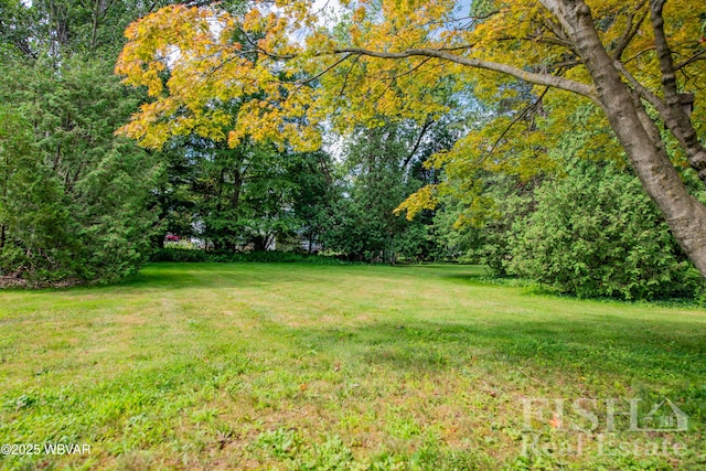 660 Harding Ave, Williamsport, PA 17701 - photo 5