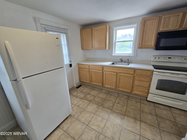 2013 Glynn Ave, Williamsport, PA 17701 - photo 29