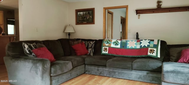 living area featuring wood finished floors