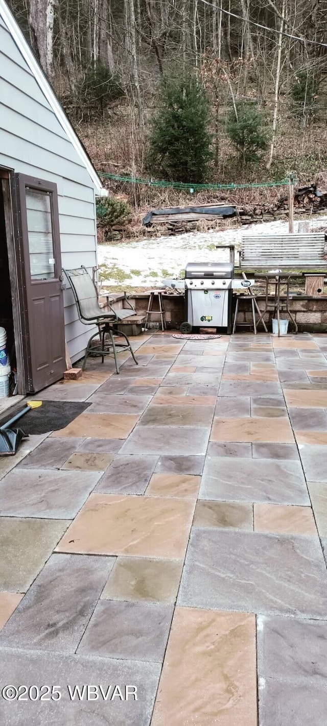 view of patio / terrace featuring a grill