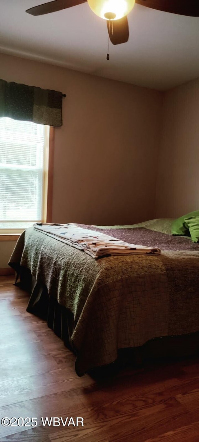 bedroom with dark wood finished floors and a ceiling fan