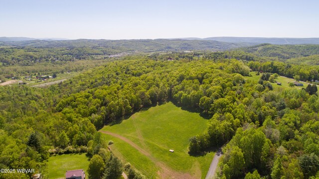 168 N Shaffer Hill Rd, Cogan Station, PA 17728 - photo 5