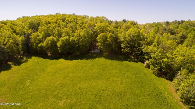 168 N Shaffer Hill Rd, Cogan Station, PA 17728 - photo 15