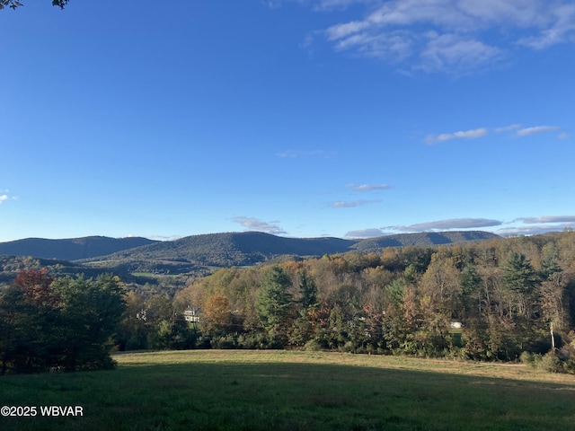 view of mountain feature