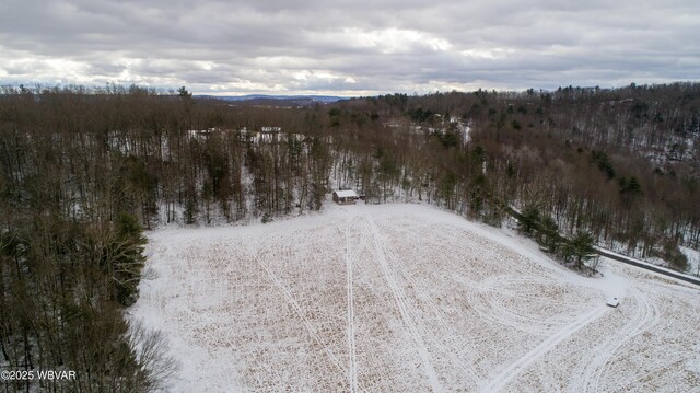168 N Shaffer Hill Rd, Cogan Station, PA 17728 - photo 22