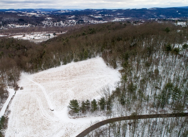 snowy aerial view with a mountain view