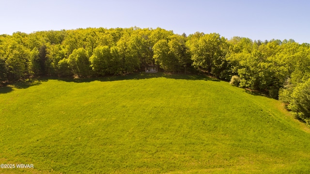 168 N Shaffer Hill Rd, Cogan Station, PA 17728 - photo 2
