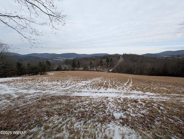 168 N Shaffer Hill Rd, Cogan Station, PA 17728 - photo 25