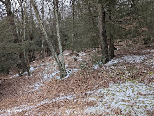 168 N Shaffer Hill Rd, Cogan Station, PA 17728 - photo 26