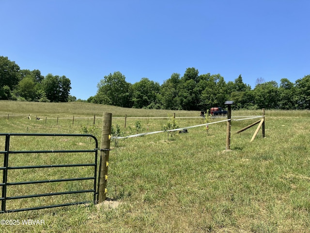 view of yard featuring a rural view