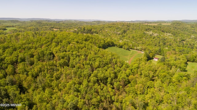 168 N Shaffer Hill Rd, Cogan Station, PA 17728 - photo 19
