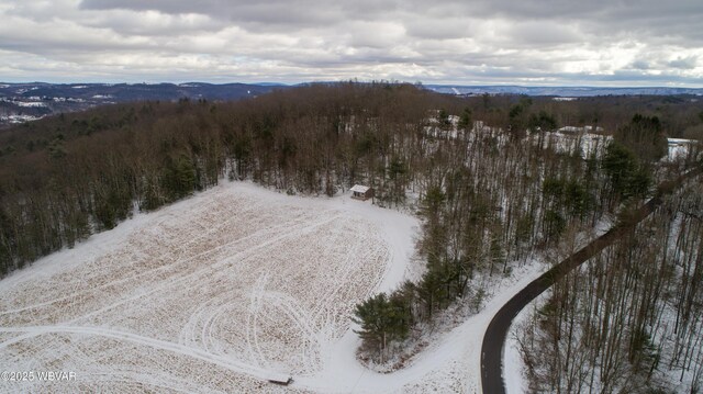 168 N Shaffer Hill Rd, Cogan Station, PA 17728 - photo 29