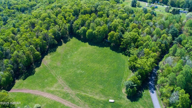 168 N Shaffer Hill Rd, Cogan Station, PA 17728 - photo 7