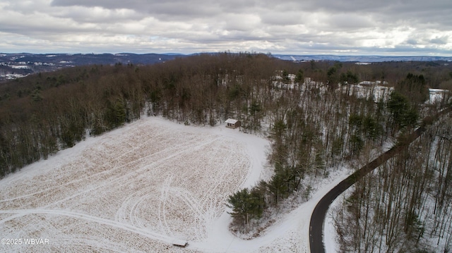 snowy aerial view with a mountain view